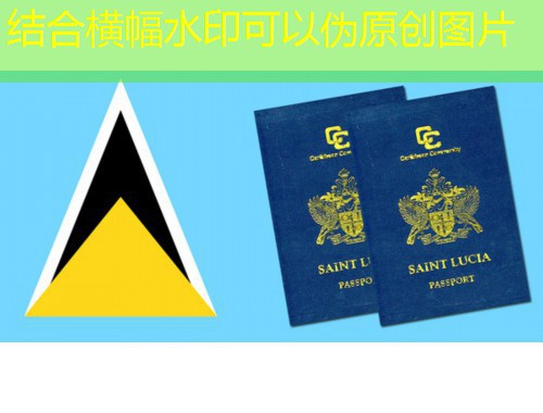 土耳其移民中介机构：如何挑到真正靠谱的“引路人”？